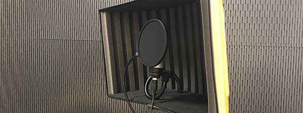 Vocal Mic Reflection Filter
